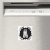 Siamese Cat Magnet (In Situ (Geschirrspüler))