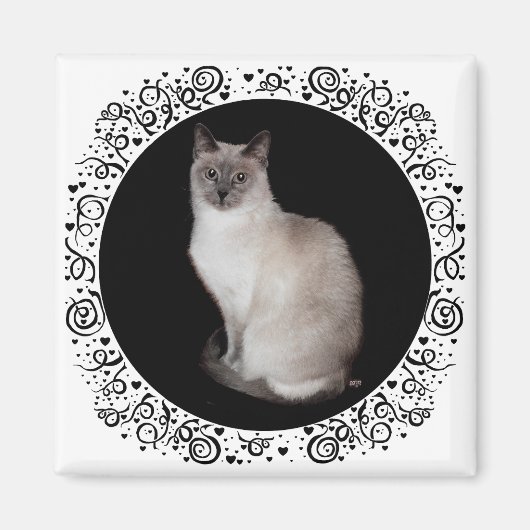Siamese Cat Magnet (Vorne)