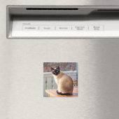 Siamese Cat Magnet (In Situ (Geschirrspüler))