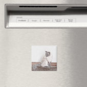 Siamese Cat Magnet (In Situ (Geschirrspüler))