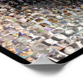 siamese Cat Montage Poster (Ecke)