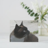 Siamese Cat Nah Up DIY Postkarte (Stehend Vorderseite)