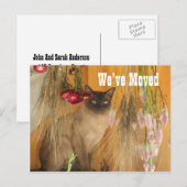 Siamese Cat New Address Ankündigungspostkarte (Vorne/Hinten)