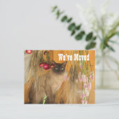 Siamese Cat New Address Ankündigungspostkarte (Stehend Vorderseite)