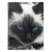 Siamese Cat Notizblock (Vorderseite)