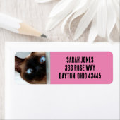 SIAMESE CAT PEEKING-RÜCKSENDEADRESSEN-AUFKLEBER (Insitu)