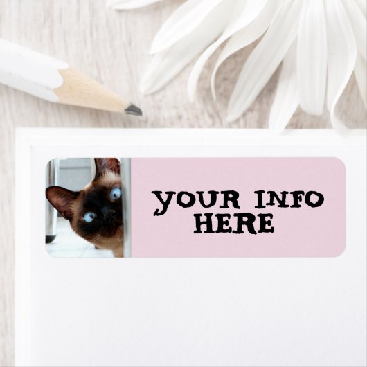 SIAMESE CAT PEEKING-RÜCKSENDEADRESSEN-AUFKLEBER (Insitu)