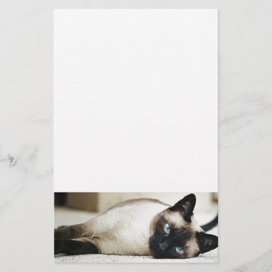 Siamese Cat Pet Briefpapier (Vorderseite)