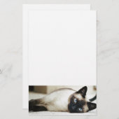 Siamese Cat Pet Briefpapier (Vorne/Hinten)