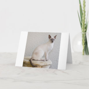 Siamese Cat Pet Purr Meow Kitty Destiny Karte