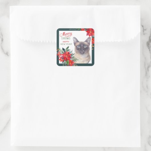 Siamese Cat Poinsettia Border Weihnachten Quadratischer Aufkleber (Tasche)