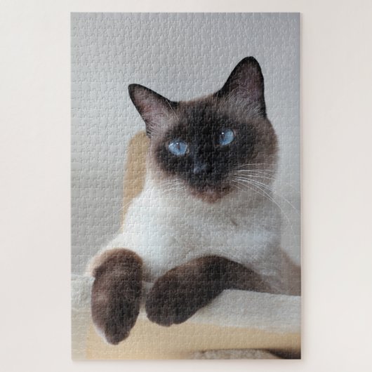 Siamese Cat Portrait Puzzle (Vertikal)