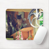 Siamese Cat Posing #2 Mousepad (Mit Mouse)