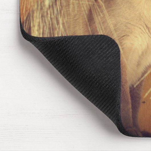 Siamese Cat Posing #3 Tier Mousepad (Ecke)