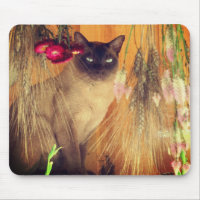 Siamese Cat Posing #3 Tier
