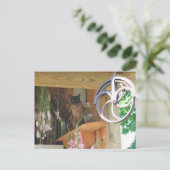 Siamese Cat Posing Animal Fotografie Postcard #2 Postkarte (Stehend Vorderseite)