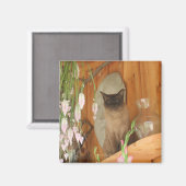 Siamese Cat Posing Animal Fotografy Magnet #1 (Vorderseite/Rückseite)