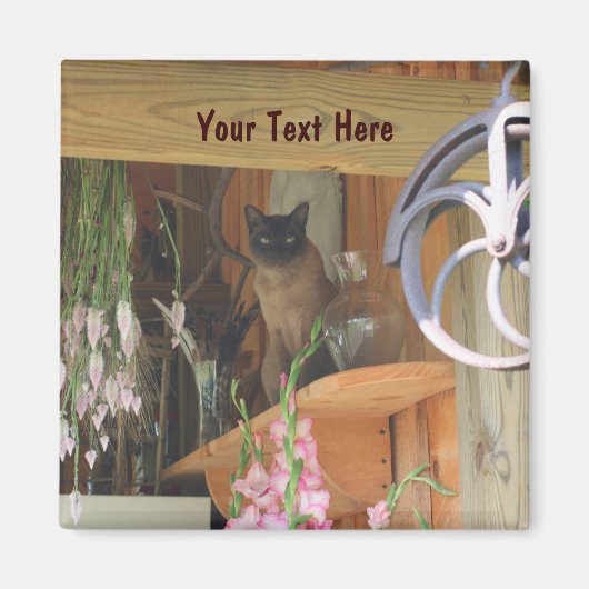 Siamese Cat Posing Animal Fotografy Magnet #2 (Vorne)
