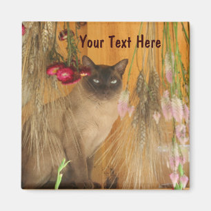 Siamese Cat Posing Animal Fotografy Magnet #3