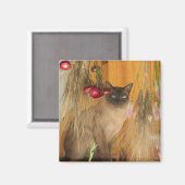 Siamese Cat Posing Animal Fotografy Magnet #3 (Vorderseite/Rückseite)