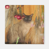 Siamese Cat Posing Animal Fotografy Magnet #3 (Vorne)