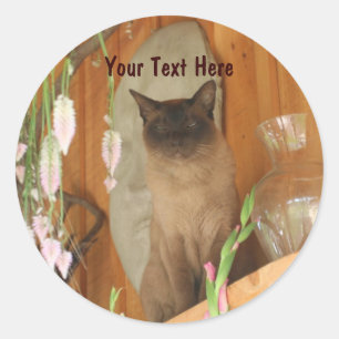 Siamese Cat Posing Animal Fotosticker #1 Runder Aufkleber