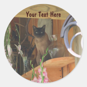 Siamese Cat Posing Animal Fotosticker #2 Runder Aufkleber