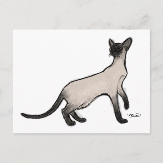 Siamese Cat Post Card Postkarte (Vorderseite)