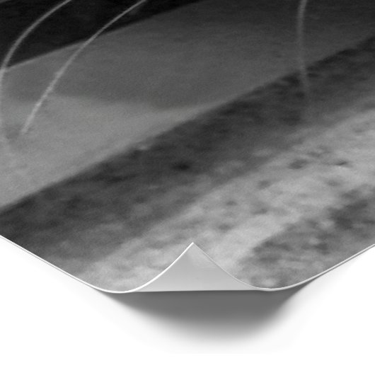 Siamese Cat Poster (Ecke)