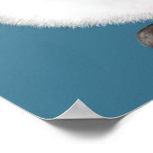 Siamese Cat Poster (Ecke)