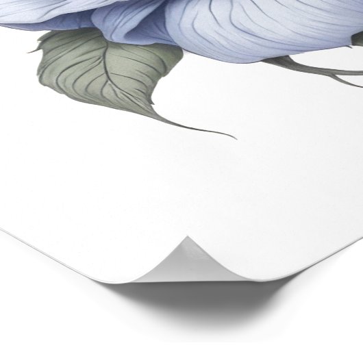 Siamese Cat Poster (Ecke)