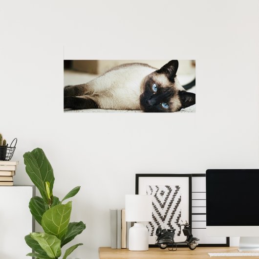 Siamese Cat Poster (Heimbüro)