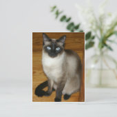 Siamese Cat Postkarte (Stehend Vorderseite)