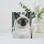 Siamese Cat Postkarte (Stehend Vorderseite)