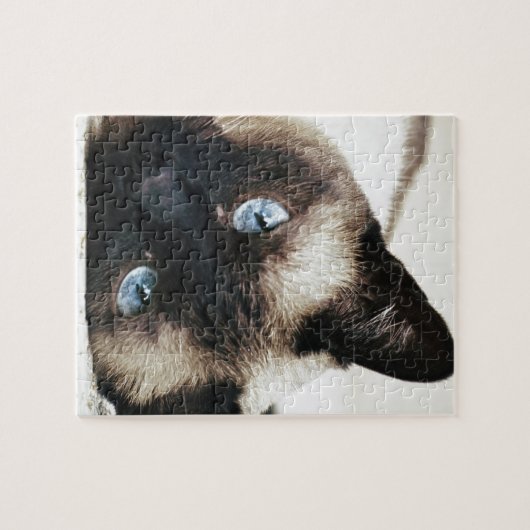 Siamese Cat Puzzle (Horizontal)