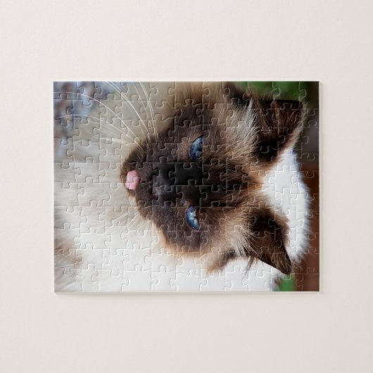 Siamese cat puzzle (Horizontal)
