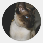 Siamese Cat Stickers (Vorderseite)