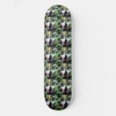 Siamese Cat Twins, Skateboard (Vorderseite)