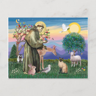 Siamese Cat und St. Francis Postkarte
