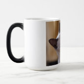 Siamese Cat Verwandlungstasse (Links)