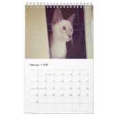 Siamese Cats Calendar Kalender (Feb 2027)