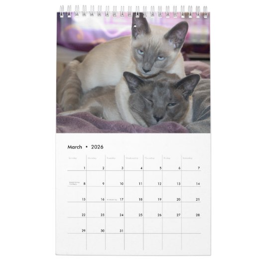 Siamese Cats Calendar Kalender (Mär 2026)