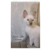 Siamese Cats Calendar Kalender (Titelbild)