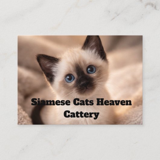 Siamese Cats Heaven Cattery Customizable Business  Visitenkarte (Vorderseite)