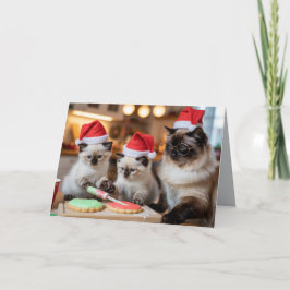 Siamese Christmas Cookie Card Karte