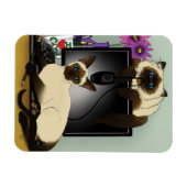 Siamese Computer Cats Mischief Magnet (Horizontal)