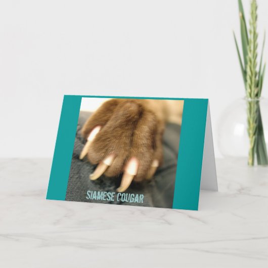 Siamese Cougar Greeting Cards Karte (Vorderseite)
