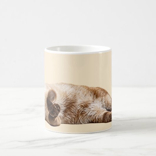 Siamese Cozy Cat Kaffeetasse (Mittel)