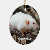 Siamese Dumbo Pet Rat im Wald Keramik Ornament (Rechts)