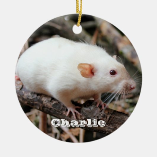 Siamese Dumbo Pet Rat im Wald Keramik Ornament (Vorne)
